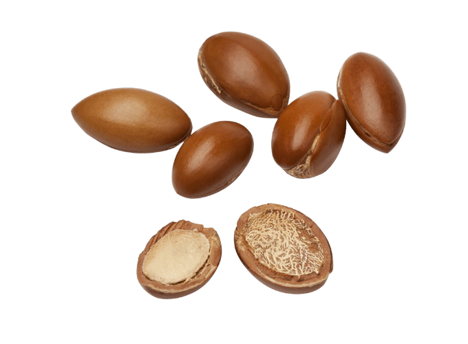 packshot of argan kernels and discover argan oil benefits